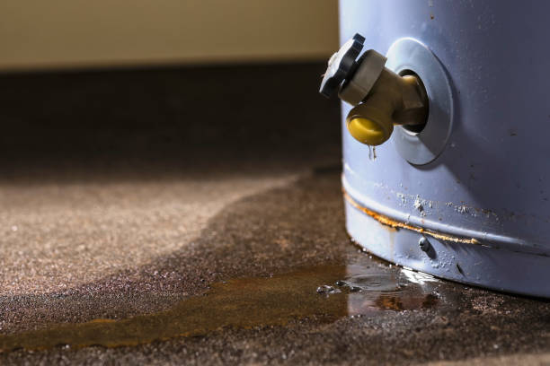 Best Mold removal after water damage  in Green Oaks, IL