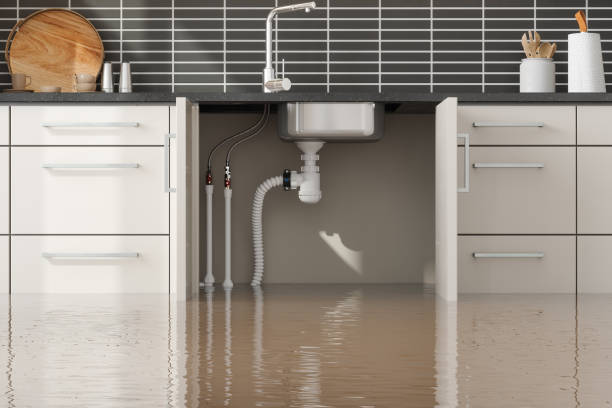 Best Sewage cleanup and water damage restoration  in Green Oaks, IL